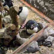 ヒメ日記 2025/05/27 09:57 投稿 さき 人妻倶楽部内緒の関係 春日部店