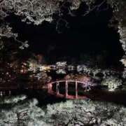 ヒメ日記 2025/11/28 18:55 投稿 河村　月 CUORE(クオレ)