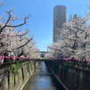 ヒメ日記 2025/04/04 13:21 投稿 るな 人妻倶楽部内緒の関係 春日部店