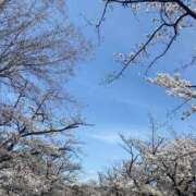 ヒメ日記 2025/04/05 19:47 投稿 るな 人妻倶楽部内緒の関係 春日部店