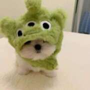 ヒメ日記 2025/04/18 16:19 投稿 るな 人妻倶楽部内緒の関係 春日部店