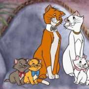 ヒメ日記 2025/05/13 11:25 投稿 るな 人妻倶楽部内緒の関係 春日部店