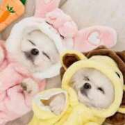 ヒメ日記 2025/06/19 10:40 投稿 るな 人妻倶楽部内緒の関係 春日部店