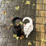 ヒメ日記 2026/01/27 13:45 投稿 るな 人妻倶楽部内緒の関係 春日部店