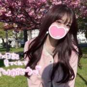 ヒメ日記 2025/05/13 00:19 投稿 うた もも尻本店