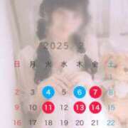 ヒメ日記 2025/01/22 07:00 投稿 あやね コートダジュール