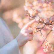 ヒメ日記 2025/03/07 21:02 投稿 あやね コートダジュール