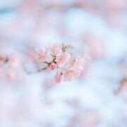 ヒメ日記 2025/03/17 21:22 投稿 あやね コートダジュール