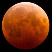 ヒメ日記 2025/09/08 03:02 投稿 りく ギン妻パラダイス 和歌山店