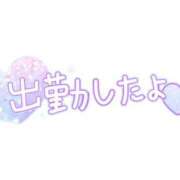 ヒメ日記 2026/02/08 09:44 投稿 りく ギン妻パラダイス 和歌山店