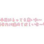 りく りく～☆ ギン妻パラダイス 和歌山店