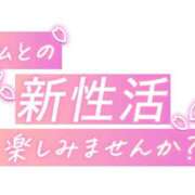 ヒメ日記 2026/03/11 13:53 投稿 りく ギン妻パラダイス 和歌山店