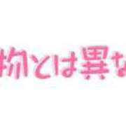 ヒメ日記 2026/03/31 12:58 投稿 りく ギン妻パラダイス 和歌山店