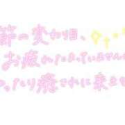 ヒメ日記 2026/04/11 20:21 投稿 りく ギン妻パラダイス 和歌山店