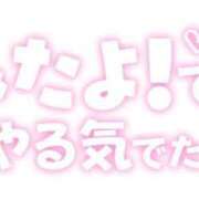 ヒメ日記 2026/08/08 08:41 投稿 りく ギン妻パラダイス 和歌山店