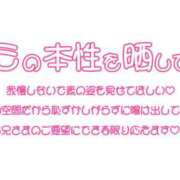 ヒメ日記 2026/09/23 14:09 投稿 りく ギン妻パラダイス 和歌山店