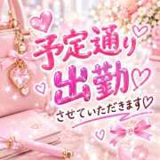 ヒメ日記 2026/10/08 13:33 投稿 りく ギン妻パラダイス 和歌山店