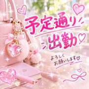ヒメ日記 2026/10/11 08:30 投稿 りく ギン妻パラダイス 和歌山店