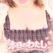 ヒメ日記 2026/10/11 12:52 投稿 りく ギン妻パラダイス 和歌山店