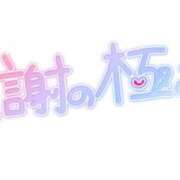 ヒメ日記 2026/10/12 03:02 投稿 りく ギン妻パラダイス 和歌山店