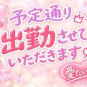 ヒメ日記 2026/10/14 10:07 投稿 りく ギン妻パラダイス 和歌山店