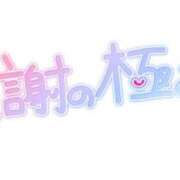 りく りく〜❤️ ギン妻パラダイス 和歌山店