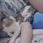 こと こと（エコ日本橋店） スピードエコ日本橋店