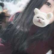 ヒメ日記 2025/12/29 13:09 投稿 こと スピードエコ日本橋店