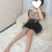 ヒメ日記 2025/07/27 14:09 投稿 らん 池袋コスプレサンシャイン（シンデレラグループ）