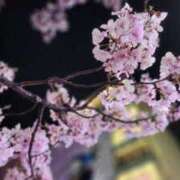 ヒメ日記 2025/06/14 12:03 投稿 佐久間みこと 全裸美女からのカゲキな誘惑