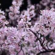 ヒメ日記 2025/09/16 20:22 投稿 佐久間みこと 全裸美女からのカゲキな誘惑