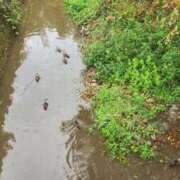 ヒメ日記 2025/09/21 18:42 投稿 佐久間みこと 全裸美女からのカゲキな誘惑