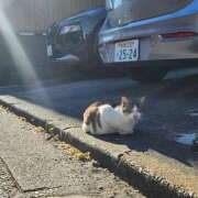 ヒメ日記 2025/09/25 17:52 投稿 佐久間みこと 全裸美女からのカゲキな誘惑