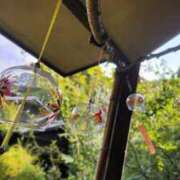 ヒメ日記 2025/09/28 23:06 投稿 佐久間みこと 全裸美女からのカゲキな誘惑