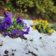 ヒメ日記 2025/11/16 19:12 投稿 佐久間みこと 全裸美女からのカゲキな誘惑