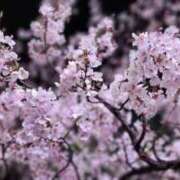 ヒメ日記 2025/09/16 20:42 投稿 逗子みこと THE痴漢電車.com