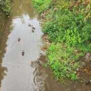 ヒメ日記 2025/09/21 19:01 投稿 逗子みこと THE痴漢電車.com