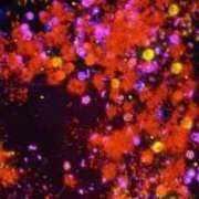 ヒメ日記 2025/10/25 15:53 投稿 逗子みこと THE痴漢電車.com