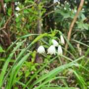 ヒメ日記 2025/10/26 17:55 投稿 逗子みこと THE痴漢電車.com