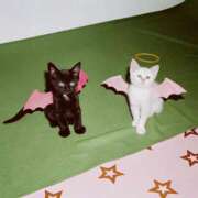 ヒメ日記 2024/12/08 17:29 投稿 るな 人妻倶楽部 内緒の関係 川越店