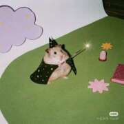 ヒメ日記 2025/03/06 12:33 投稿 るな 人妻倶楽部 内緒の関係 川越店