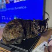 ヒメ日記 2025/02/22 20:55 投稿 いぶき セレブクエスト-omiya-