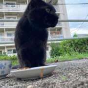 ヒメ日記 2025/03/13 15:25 投稿 いぶき セレブクエスト-omiya-