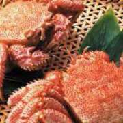 ヒメ日記 2024/12/28 17:06 投稿 刈谷ナース 病院