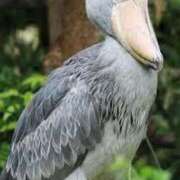 ヒメ日記 2025/01/13 22:48 投稿 刈谷ナース 病院