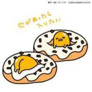 ヒメ日記 2025/02/24 12:26 投稿 刈谷ナース 病院