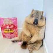 ヒメ日記 2025/05/23 11:56 投稿 刈谷ナース 病院