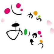 ヒメ日記 2026/03/31 18:06 投稿 刈谷ナース 病院