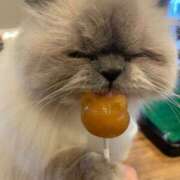 ヒメ日記 2026/01/22 23:21 投稿 かほ One More 奥様　池袋店