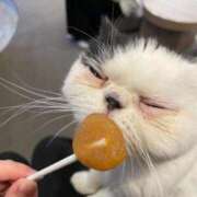 ヒメ日記 2026/01/30 22:28 投稿 かほ One More 奥様　池袋店